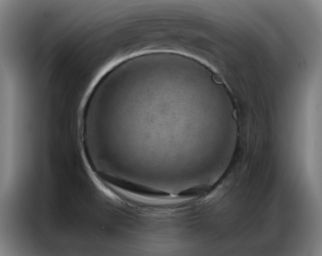X0000087341519200704201136