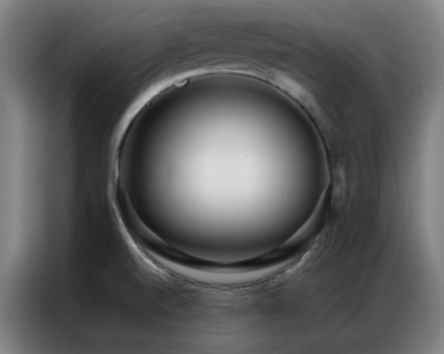 X0000087341520200704201136