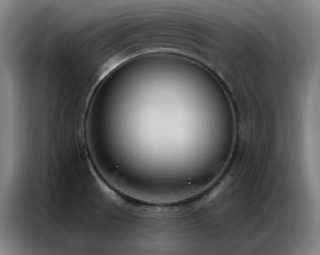 X0000087341521200704201136