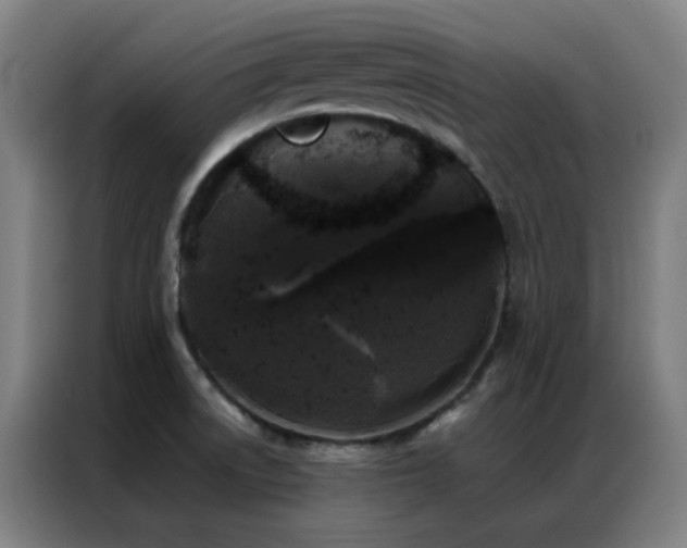 X0000087341522200704201136