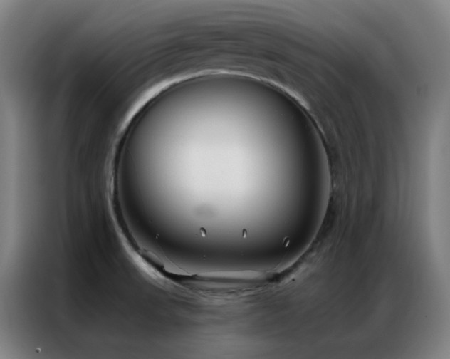 X0000087341523200704201136