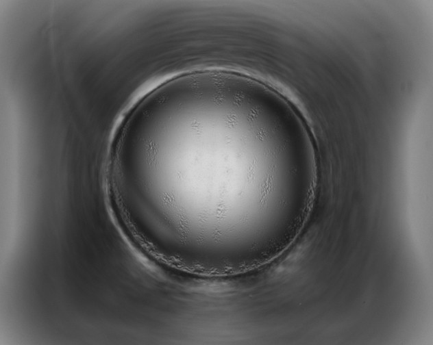 X0000087341525200704201136