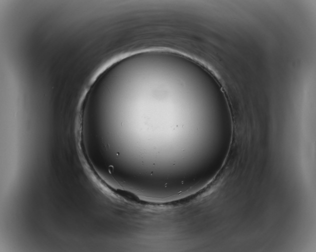 X0000087341526200704201136