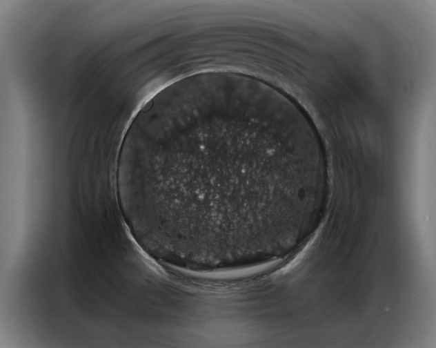 X0000087341529200704201136