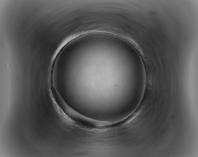 X0000087341530200704201136