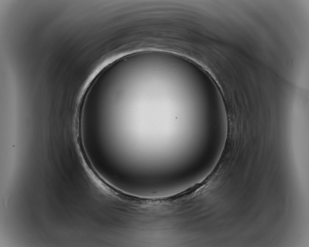 X0000087341531200704201136