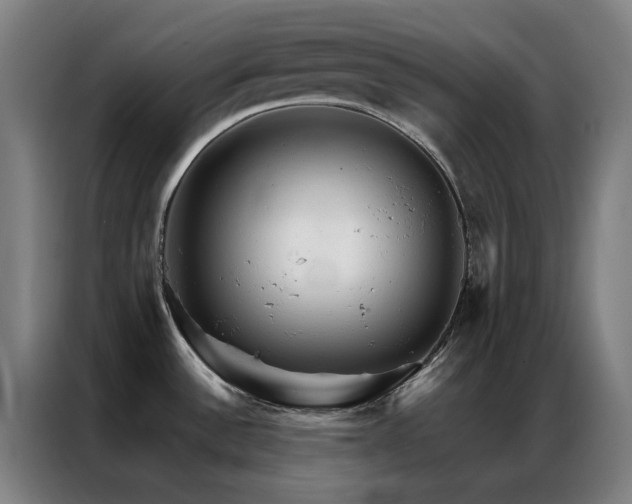 X0000087341532200704201136