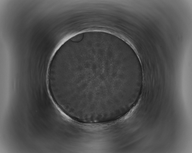 X0000087341533200704201136