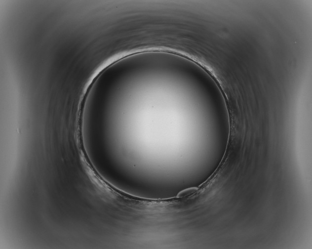 X0000087341534200704201136