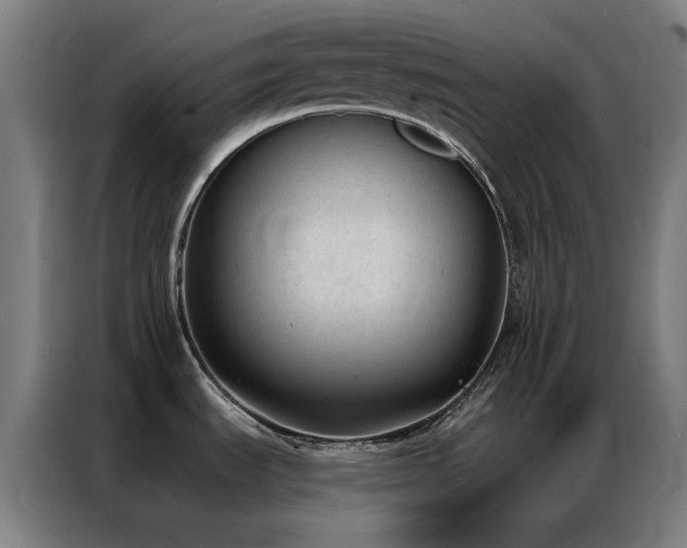 X0000087341535200704201136