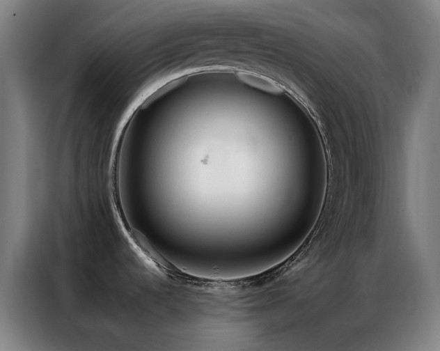 X0000087341536200704201136