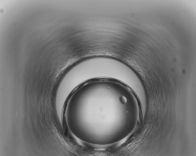 X0000087340256200704271525
