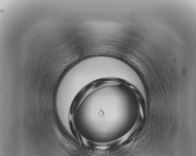 X0000087340546200704271520