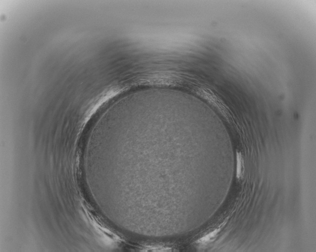 X0000087340723200704271517