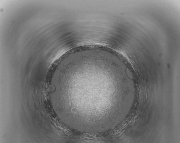 X0000087340871200704271515