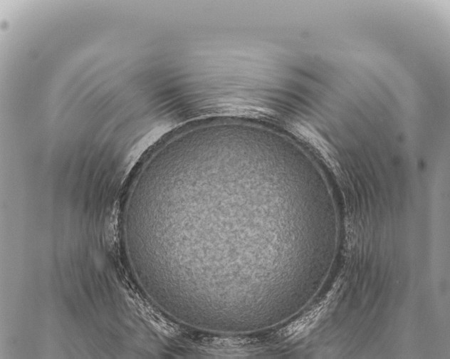X0000087340875200704271515
