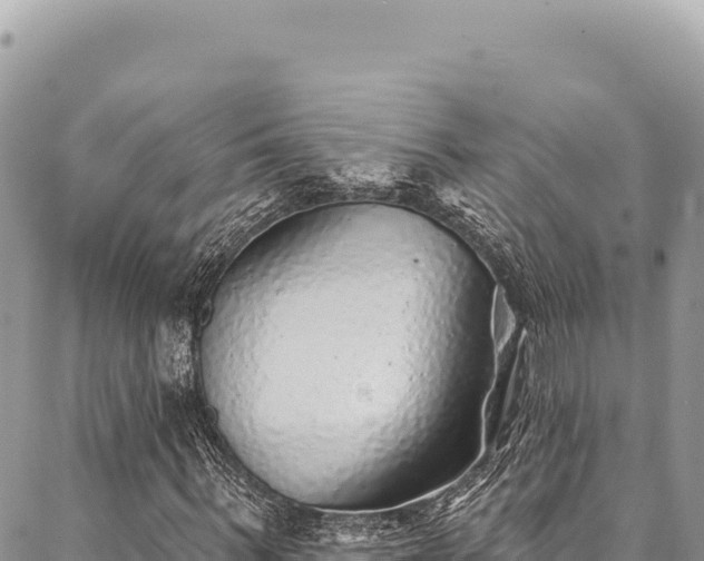 X0000087340963200704271513