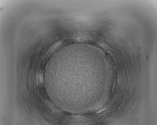 X0000087341155200704271510