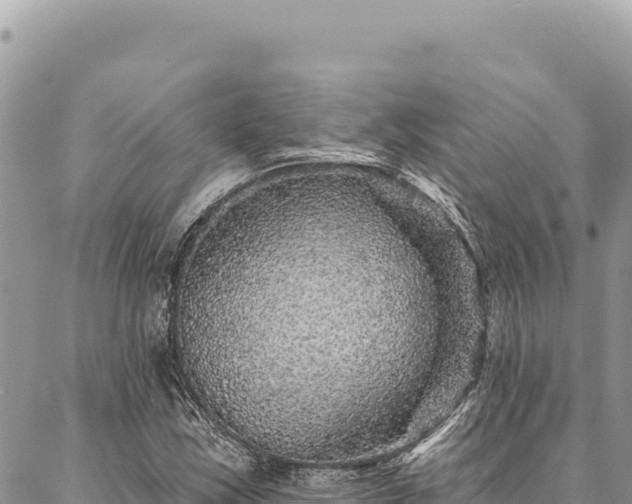 X0000087341163200704271510