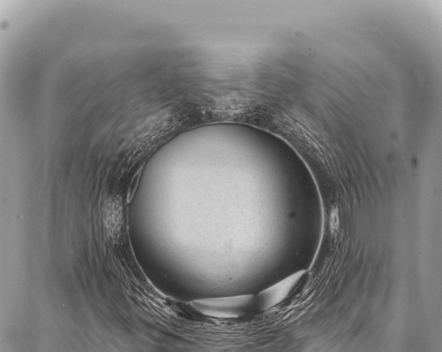 X0000087341299200704271507