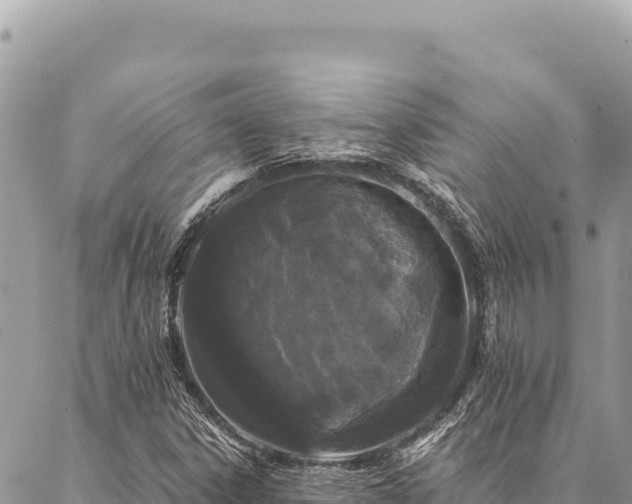 X0000087341306200704271507