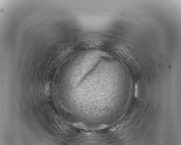 X0000087341395200704271506