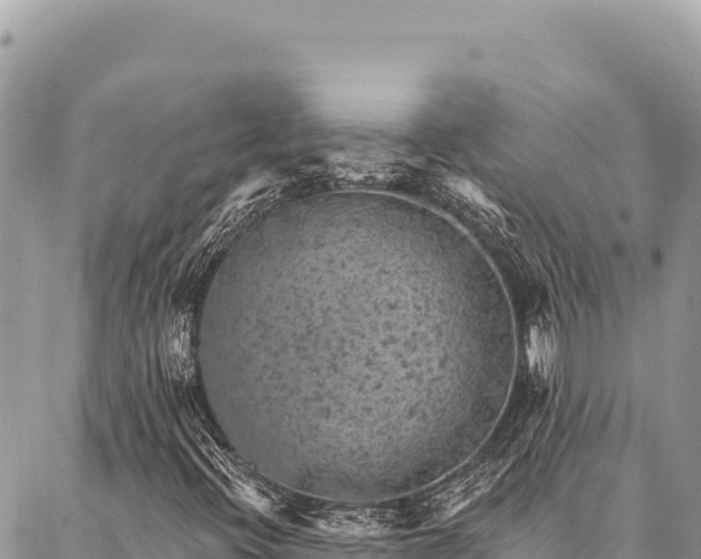 X0000087341396200704271506