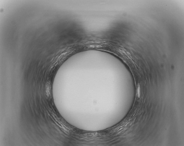 X0000087341444200704271506