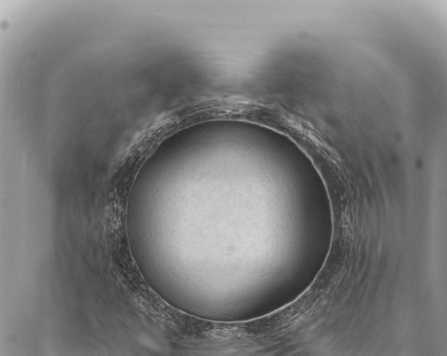 X0000087341447200704271506