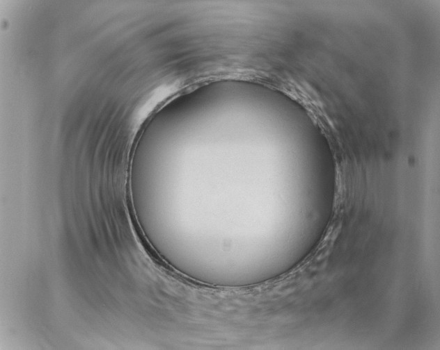 X0000087340003200705041817