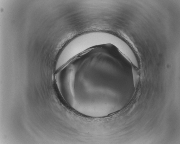 X0000087340019200705041816