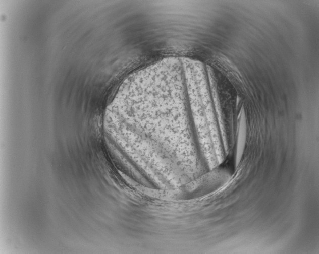 X0000087340045200705041816