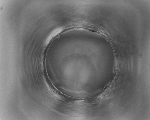 X0000087340054200705041815