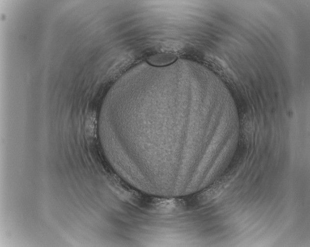 X0000087340083200705041816