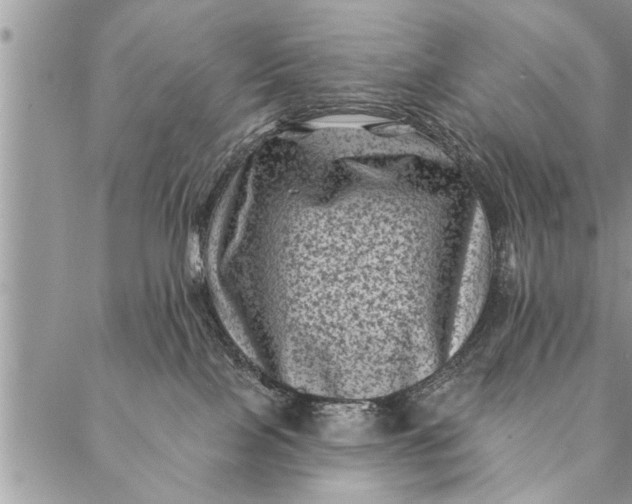 X0000087340089200705041816