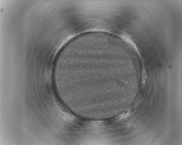 X0000087340108200705041815