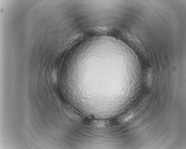 X0000087340131200705041814