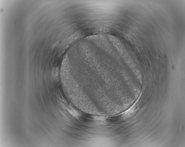 X0000087340144200705041814