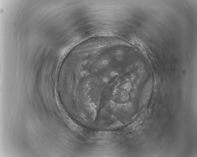 X0000087340145200705041813