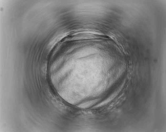 X0000087340194200705041813