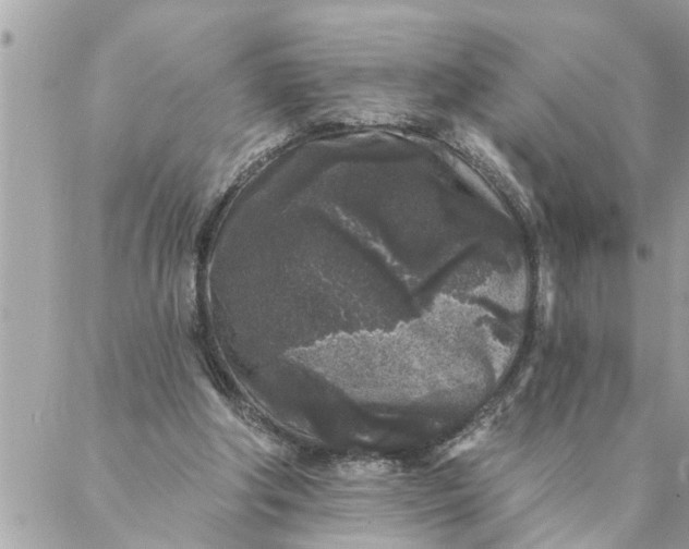 X0000087340202200705041813