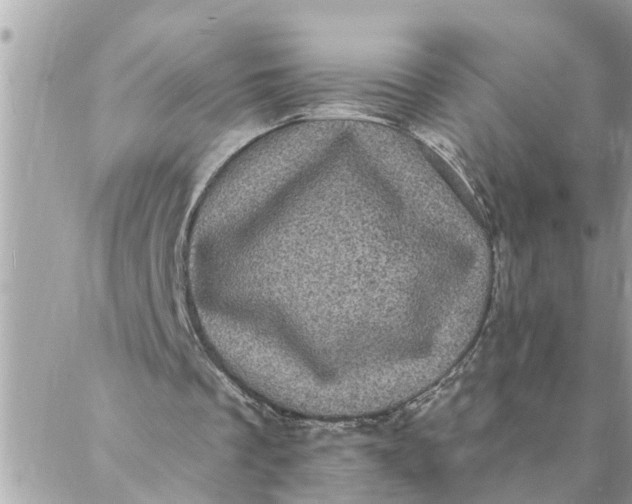 X0000087340289200705041812