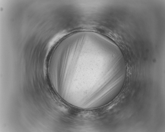 X0000087340294200705041812