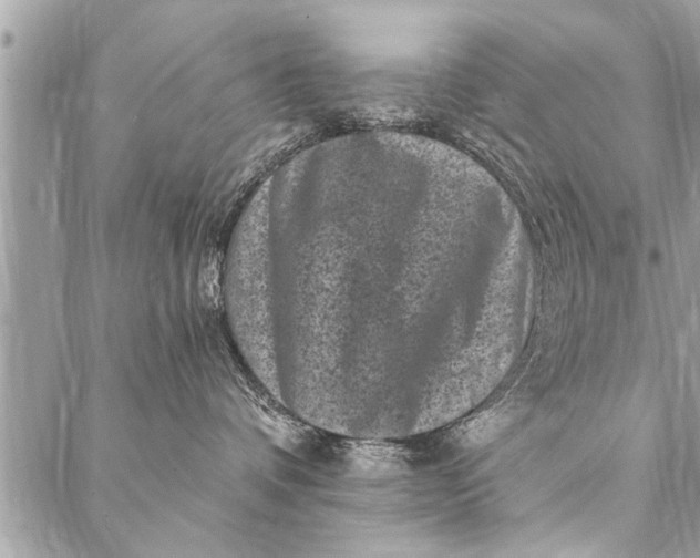 X0000087340336200705041811