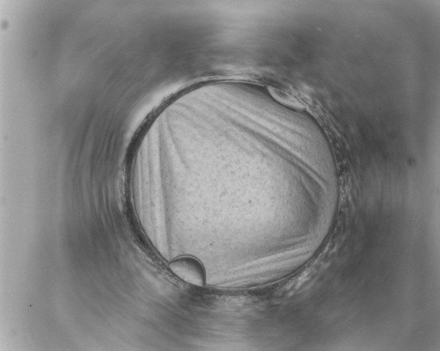 X0000087340342200705041810