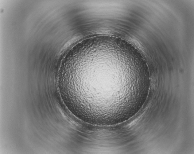 X0000087340349200705041811