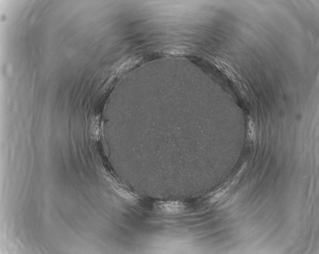 X0000087340383200705041811