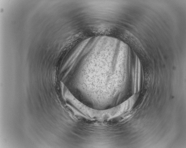 X0000087340416200705041810