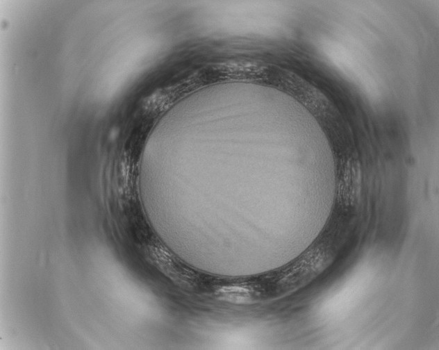 X0000087340430200705041810