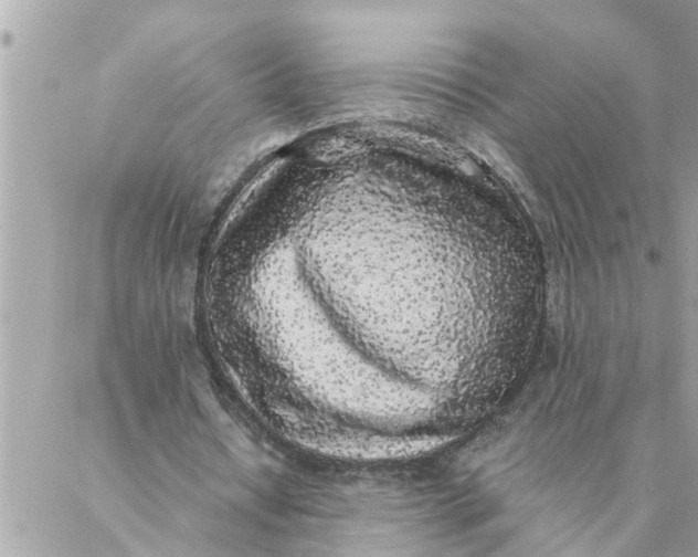 X0000087340434200705041809